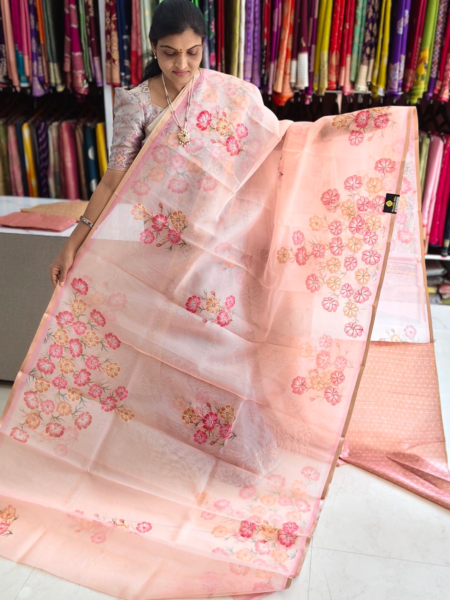 Organza aplic work saree