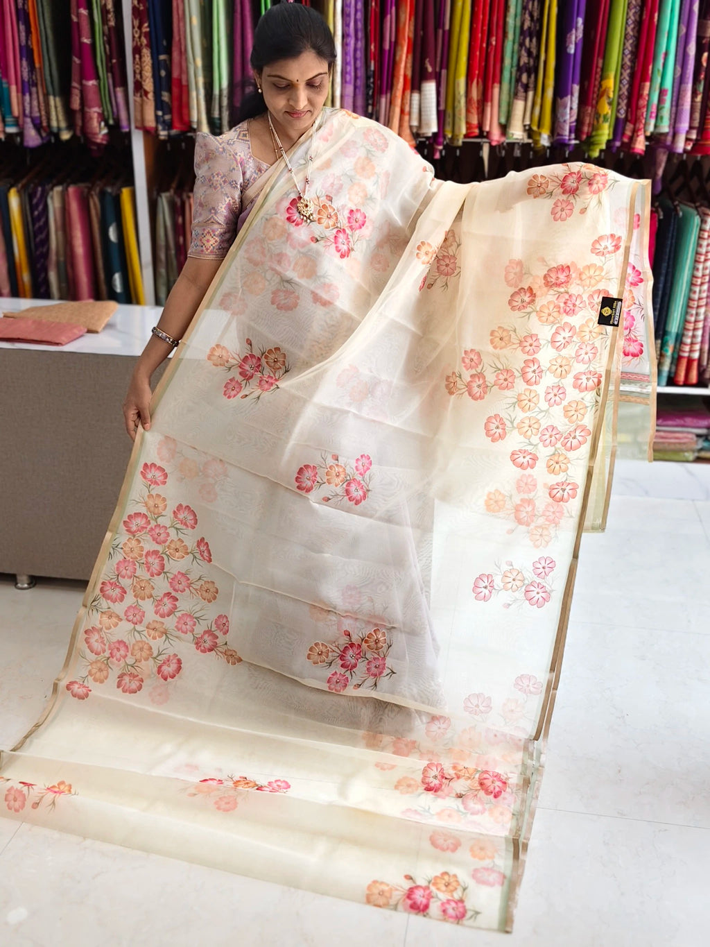Organza aplic work saree