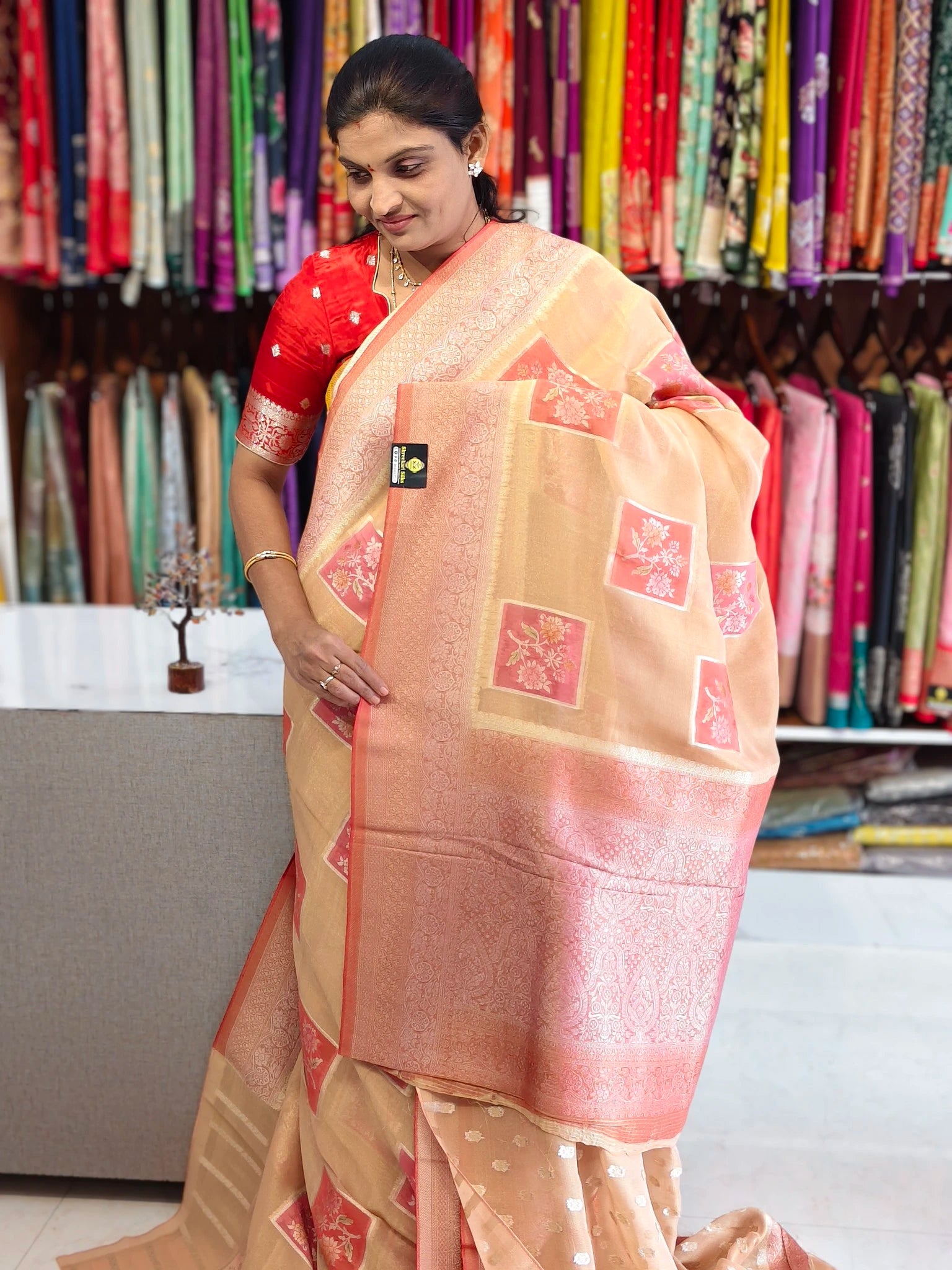 Tissue Banarasi saree