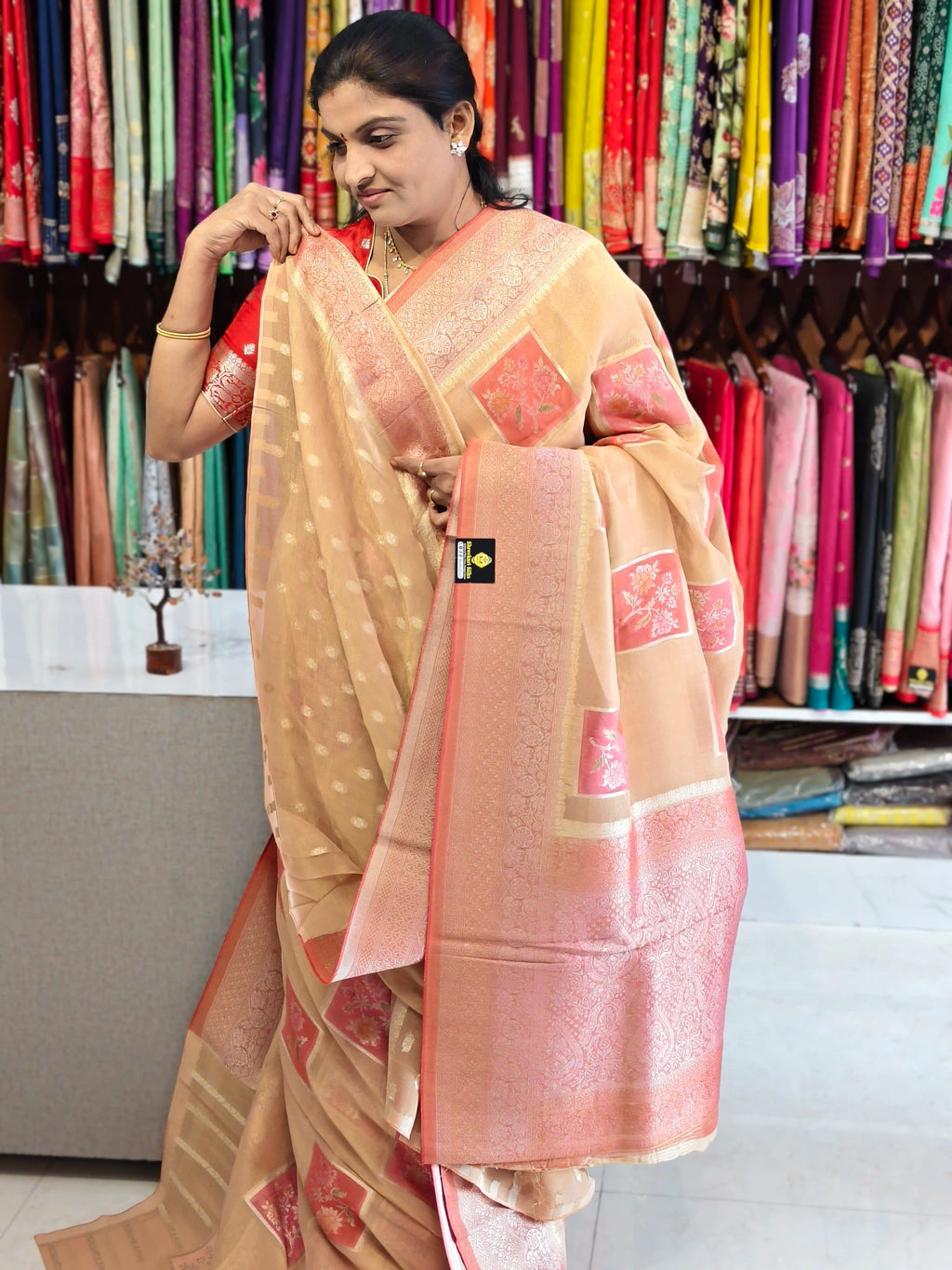 Tissue Banarasi saree