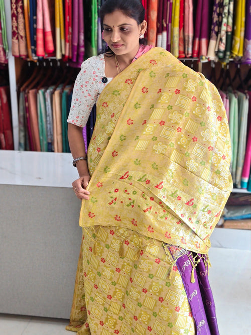 Bandini Banarasi saree