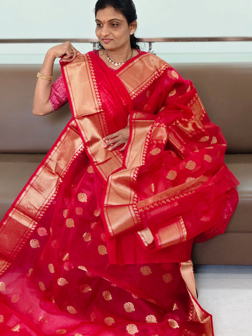 Chanderi Pattu saree