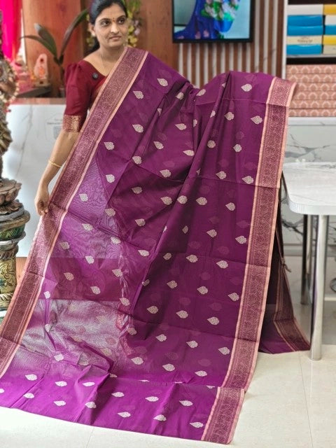 Kanchi Cotton saree
