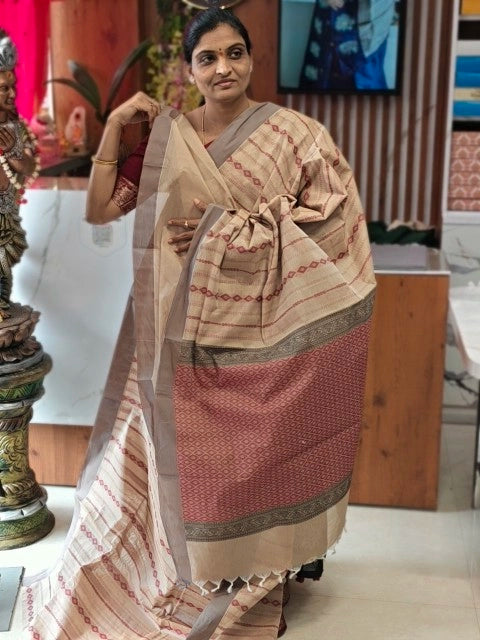 Kanchi Cotton saree
